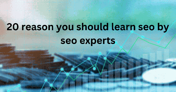 20 reason you should learn seo by seo experts